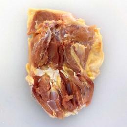 さつま赤鶏　モモ肉 1kg