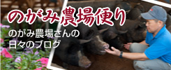 のがみの農場便り - のがみ農場の日々のブログ黒豚飼育日記